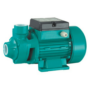 Self-Priming Peripheral Water Pump