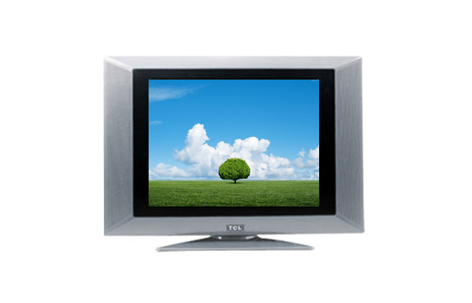 Flat Screen Television