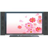 Flat Screen Television with Integrated Audio