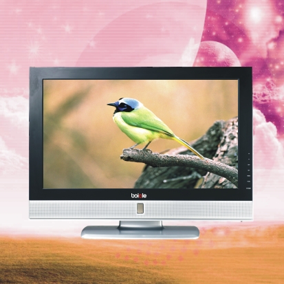 Flat Screen Television