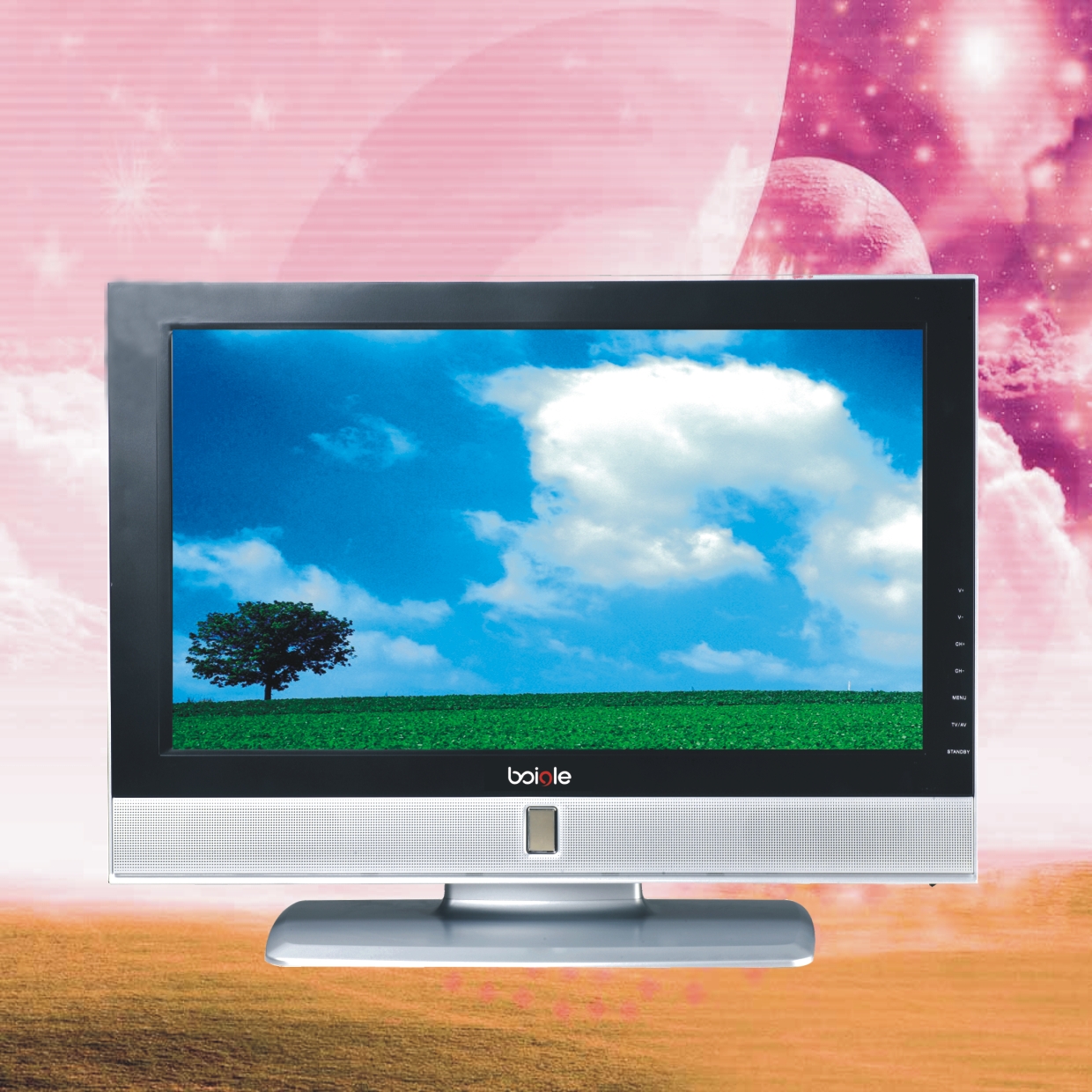 Standard Definition Flat Screen Television