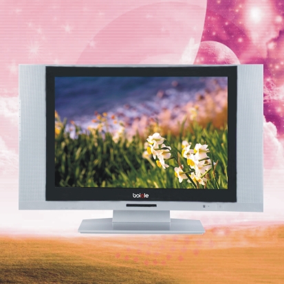 Flat Screen Television