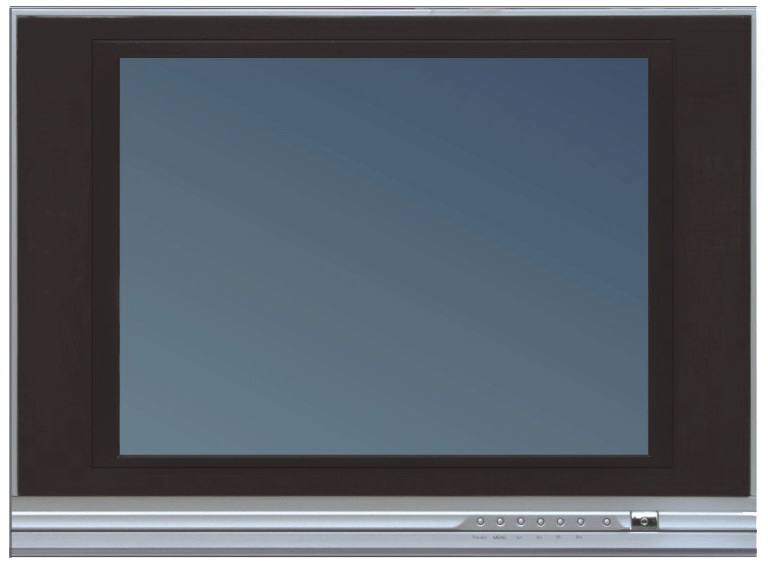 Flat Screen Television