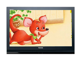 Flat Screen Television