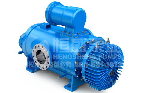 Twin Screw Positive Displacement Pump
