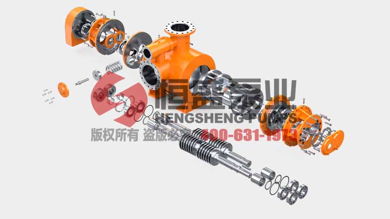 Exploded view of the twin screw pump components