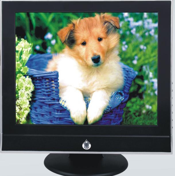 LCD Computer Monitor