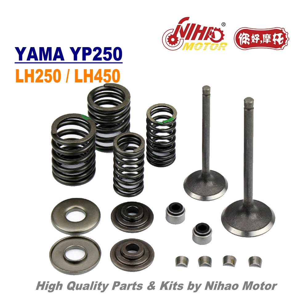Close up of valve assembly components including springs and retainers