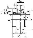Bearing Unit UCX00