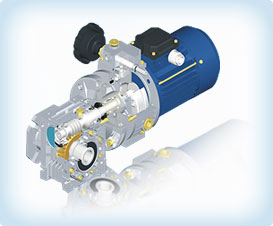 Stepless Variator with Worm Gear Reducer