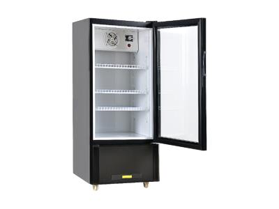 Upright cooler-no light box LC-150N - Image 3