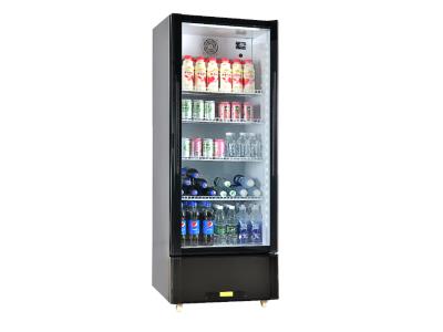 Upright cooler-no light box LC-260N - Image 2