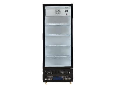 Upright Beverage Cooler with Adjustable Shelves