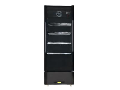 Upright cooler-no light box LC-360N - Image 3