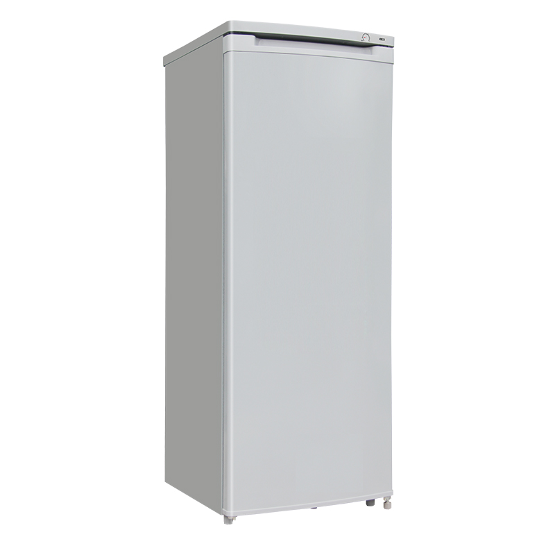 UPRIGHT FREEZER - Image 2