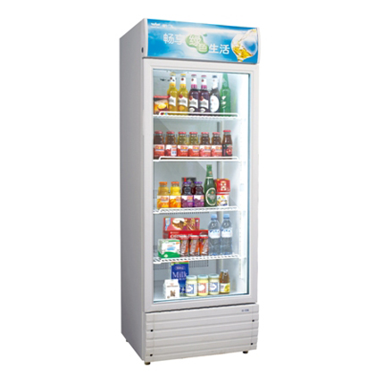 Upright Showcase - Image 4