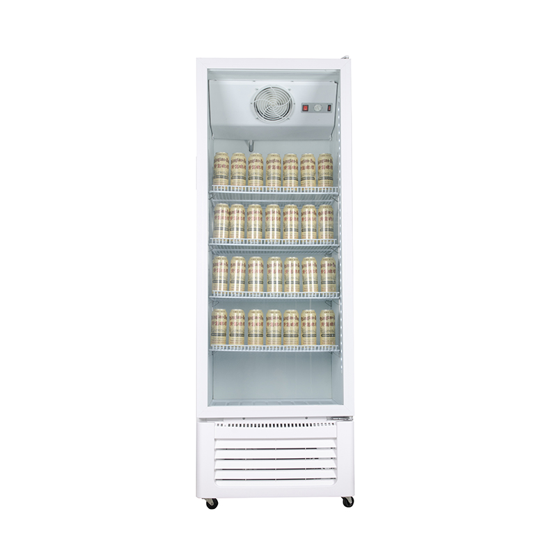 Upright showcase LC-408 - Image 2