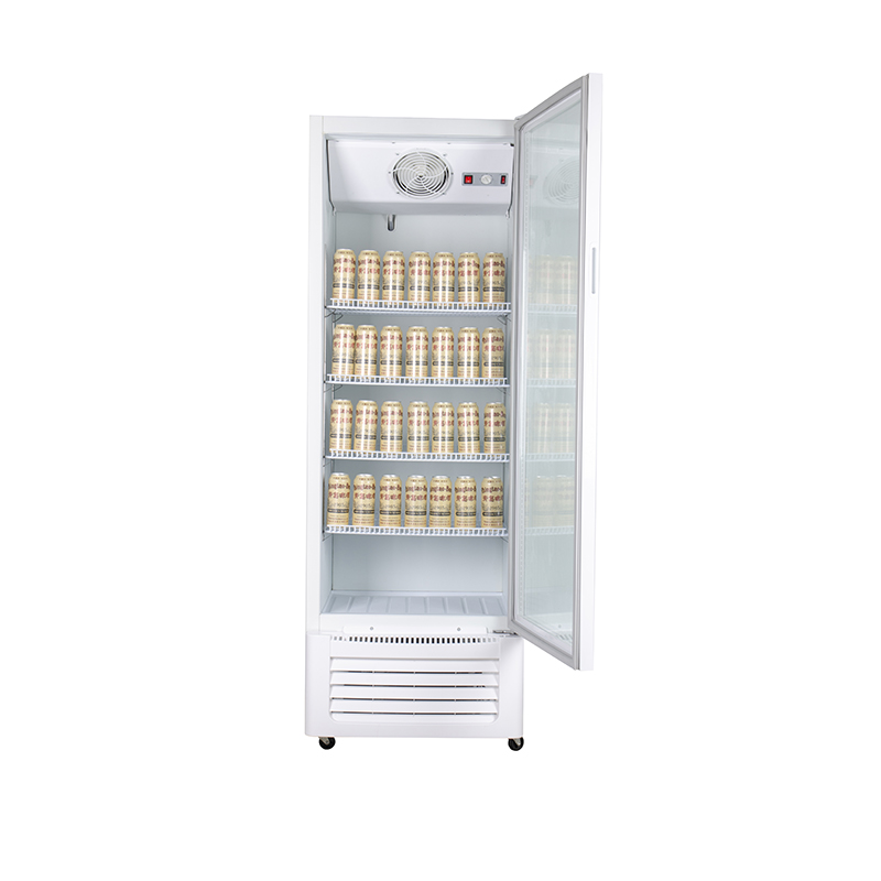 Commercial Upright Display Refrigerator