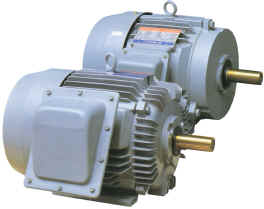 Industrial Electric Motor with Finned Housing