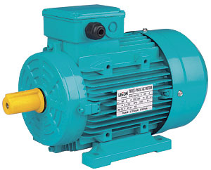 Three-Phase AC Induction Motor