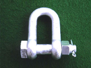 Galvanized Alloy Steel Dee Shackle