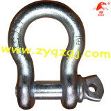 Screw Pin Anchor Shackle