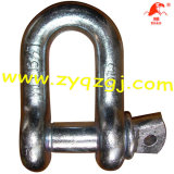 Screw Pin Chain Shackle US Type