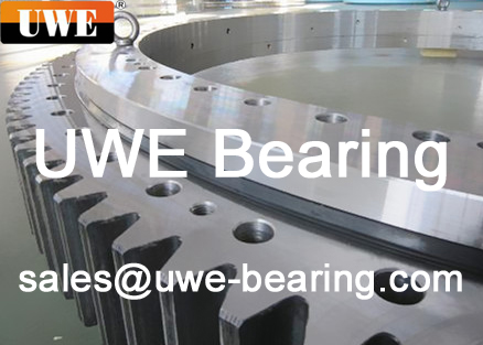 Large Diameter Slewing Bearing