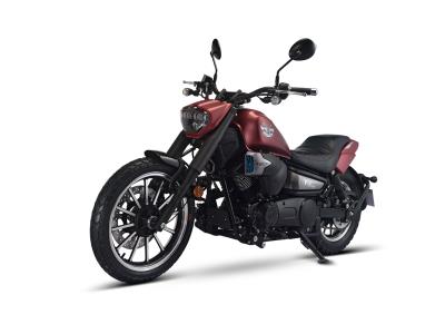 V16S (LF250-R) LIFAN Cruiser Chopper - Image 3