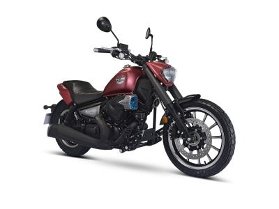 V16S (LF250-R) LIFAN Cruiser Chopper - Image 2