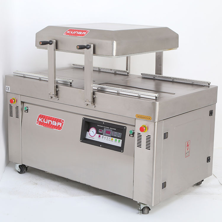 Vacuum Packing Machine DZ-600/2SA (Automatic Flip) - Image 3