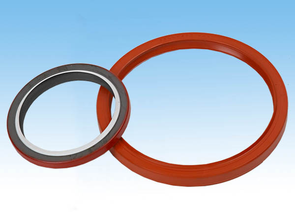 Industrial Valve Seal