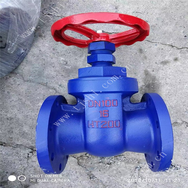 DN100 Industrial Gate Valve