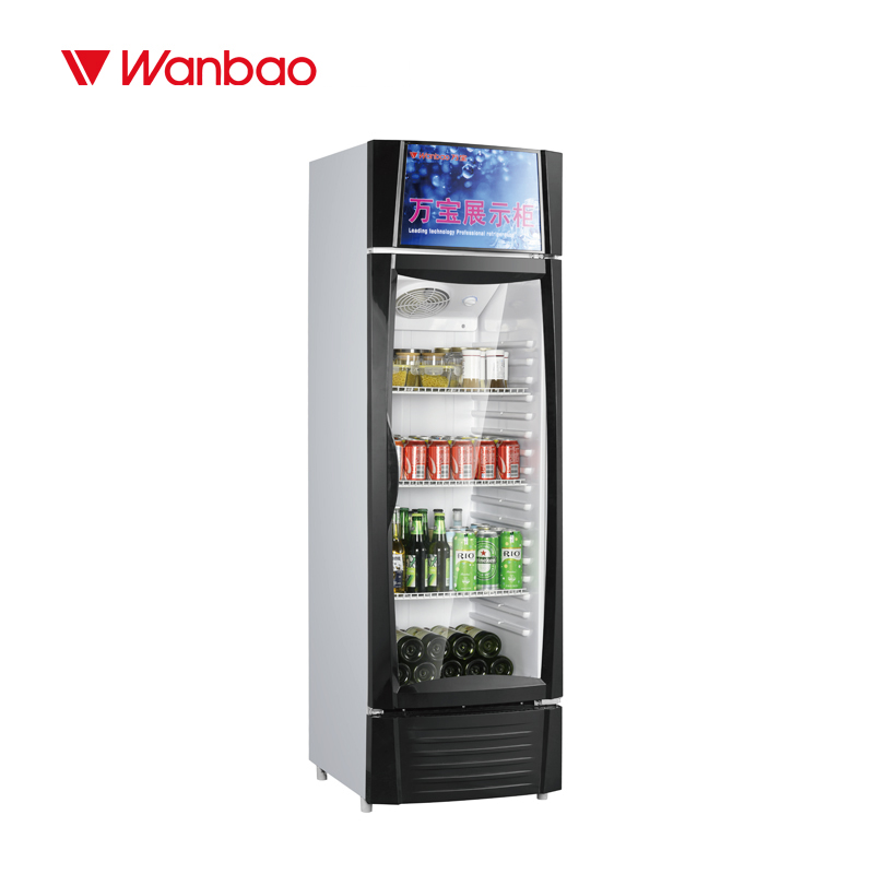 Commercial Vertical Display Freezer