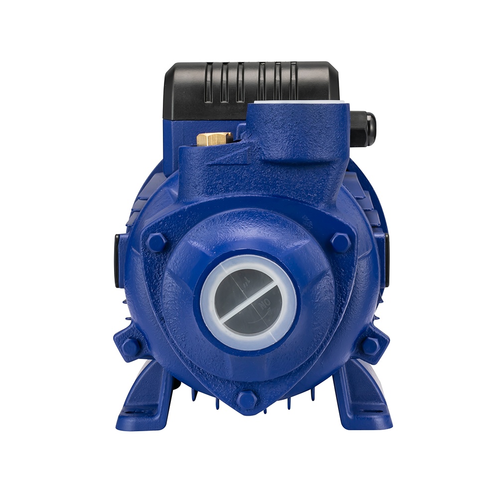Vortex clean water pump italian price of 1hp water pumps - Image 2