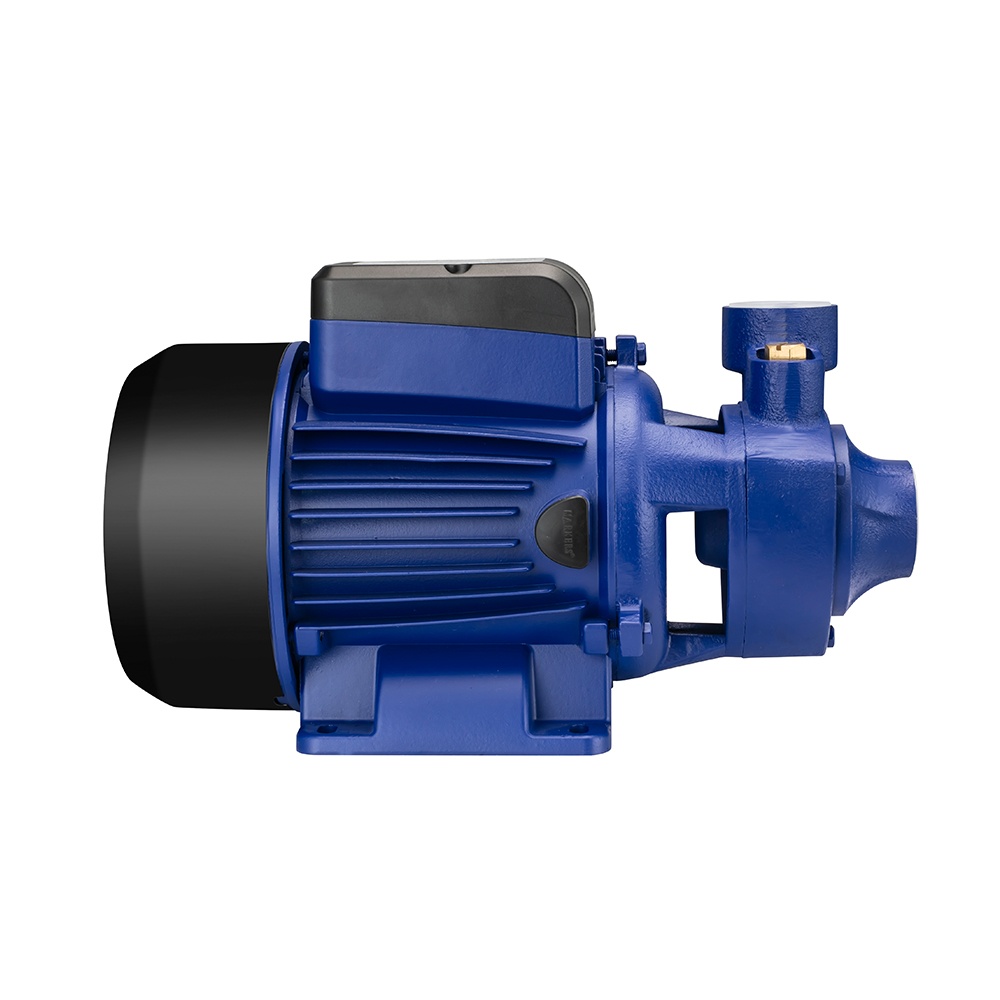 1 HP Vortex Clean Water Pump