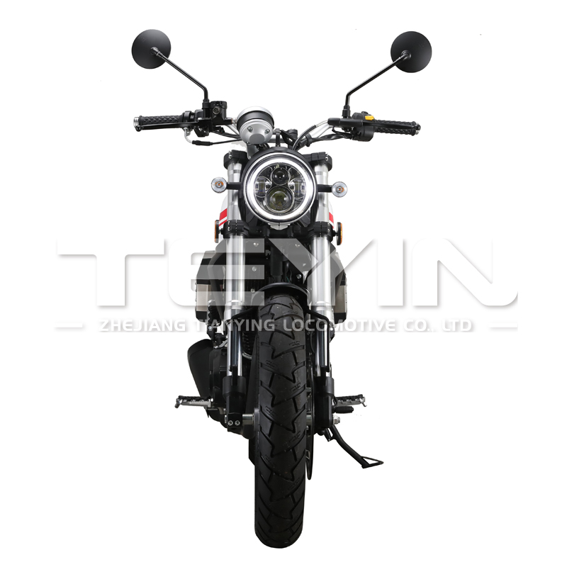 Side profile of the retro scrambler motorcycle