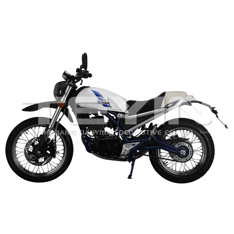 VOX CROSS COUNTRY MODEL - Image 2
