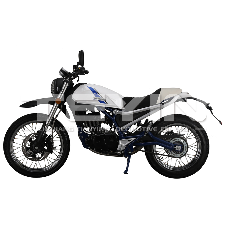 Side profile of the scrambler motorcycle
