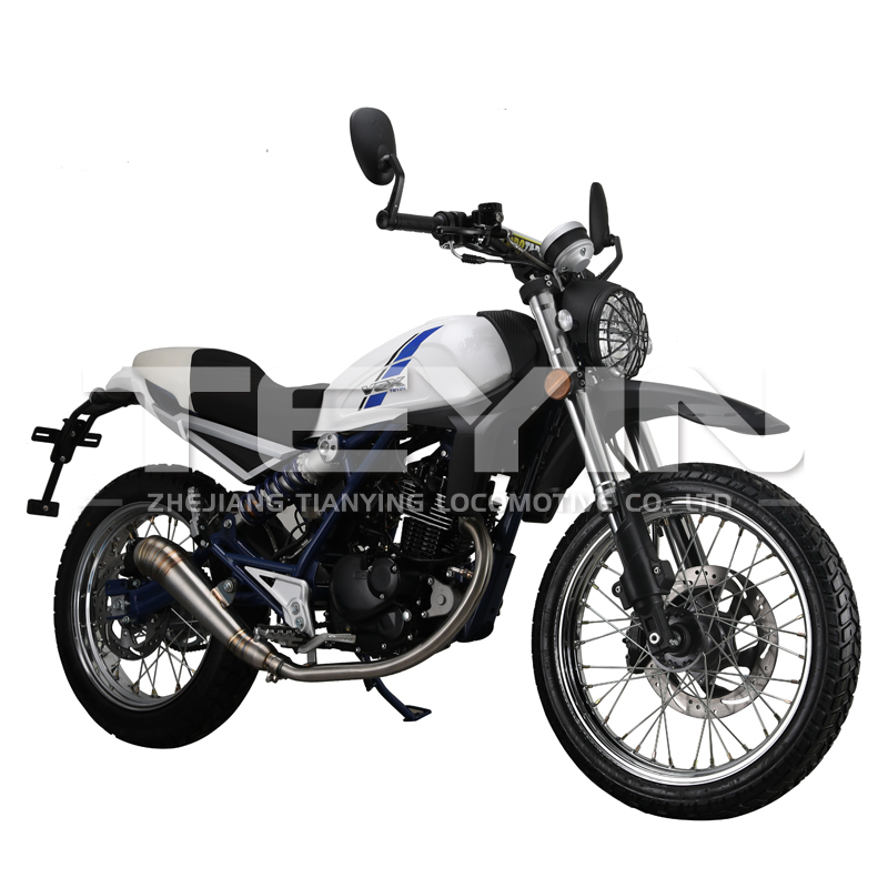 Front view of the motorcycle showing handlebars and headlight
