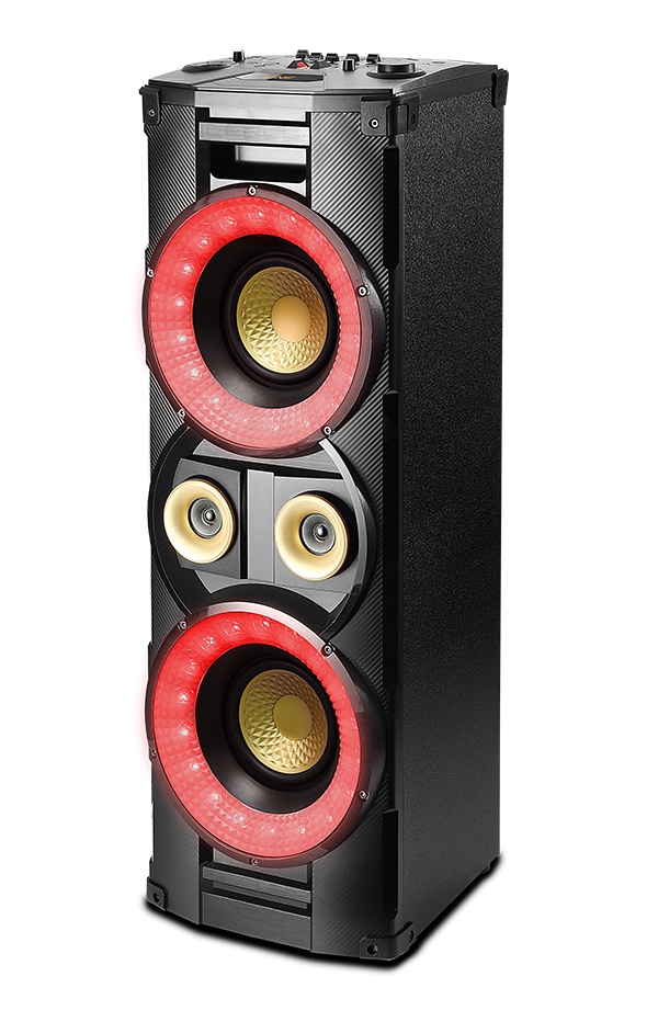 100W Portable Party Speaker with LED Display