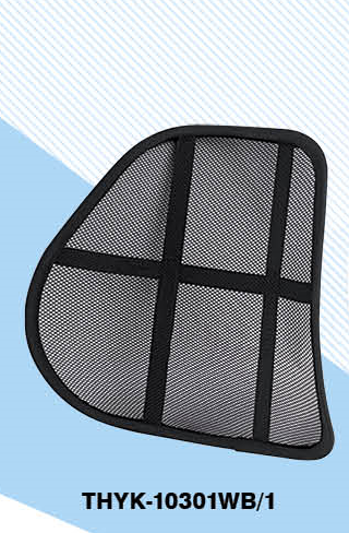 Ergonomic Mesh Lumbar Support