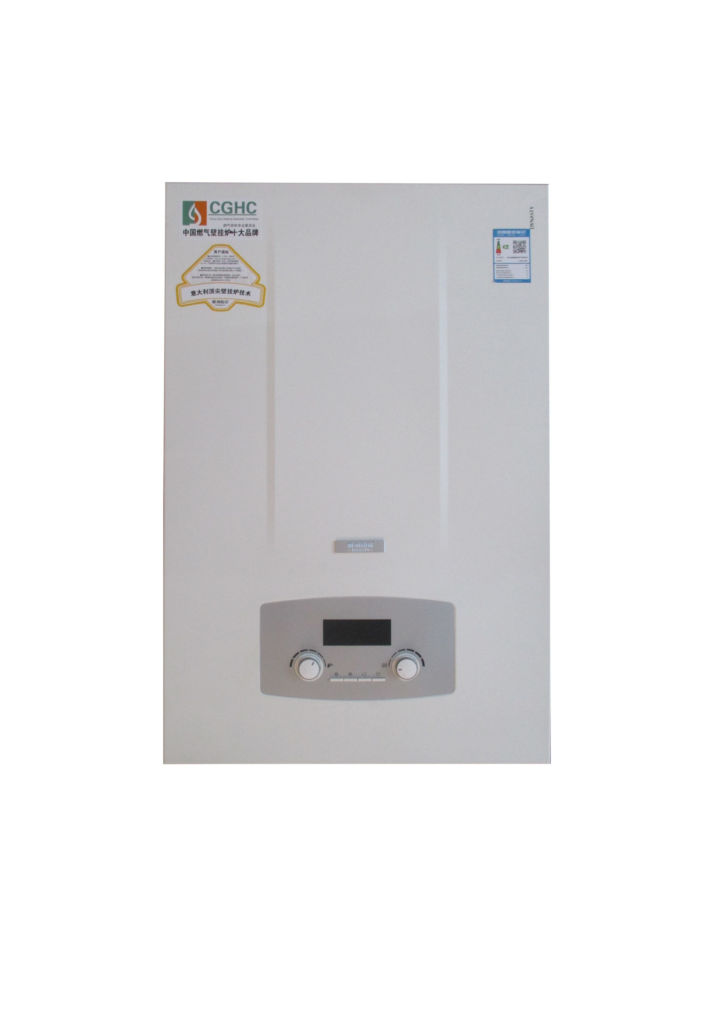 Wall Hung Gas Boiler with Dual Pump System