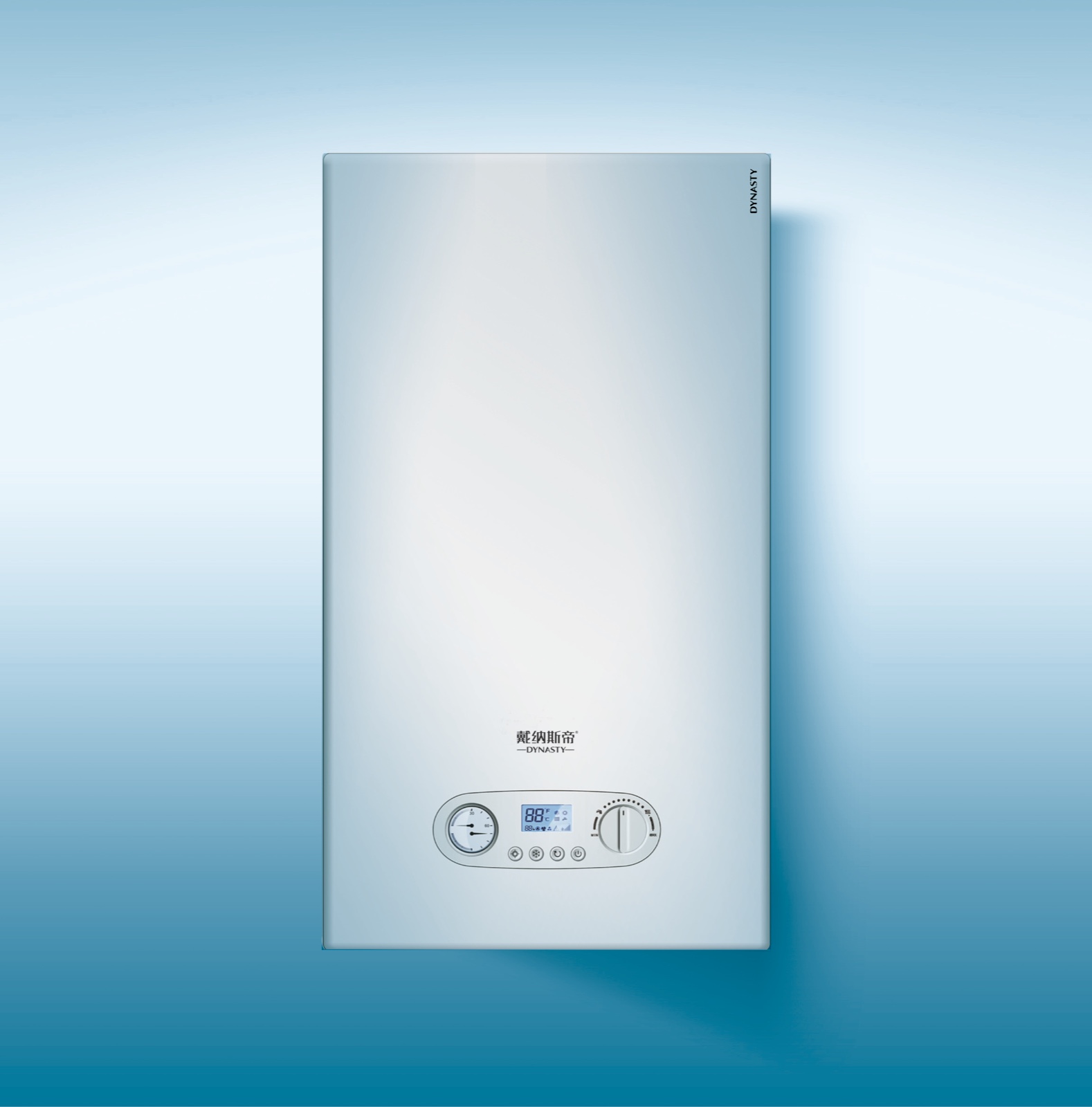 Wall Hung Gas Boiler