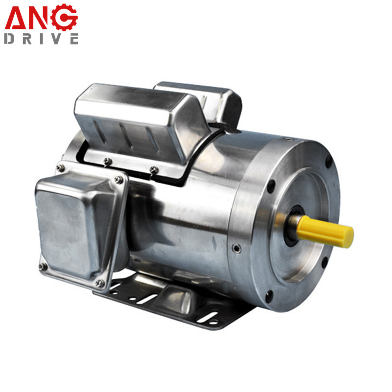 Stainless Steel Washdown Electric Motor