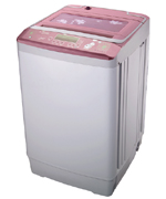 Top-Loading Washing Machine