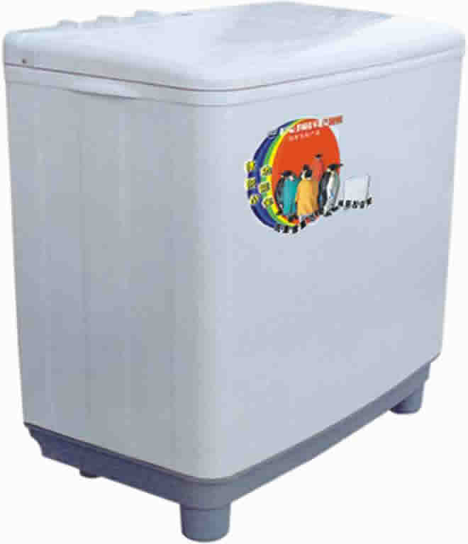Twin Tub Washing and Drying Machine
