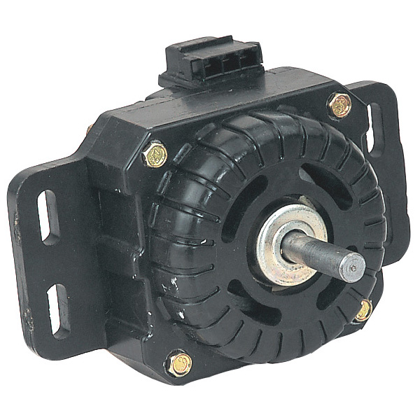 Washing Machine Motor