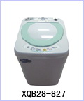 Top Loading Washing and Drying Machine
