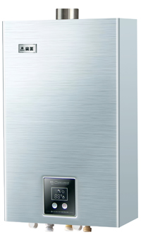 Wall Mounted Electric Water Heater